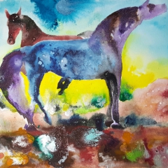 Horse Mesa